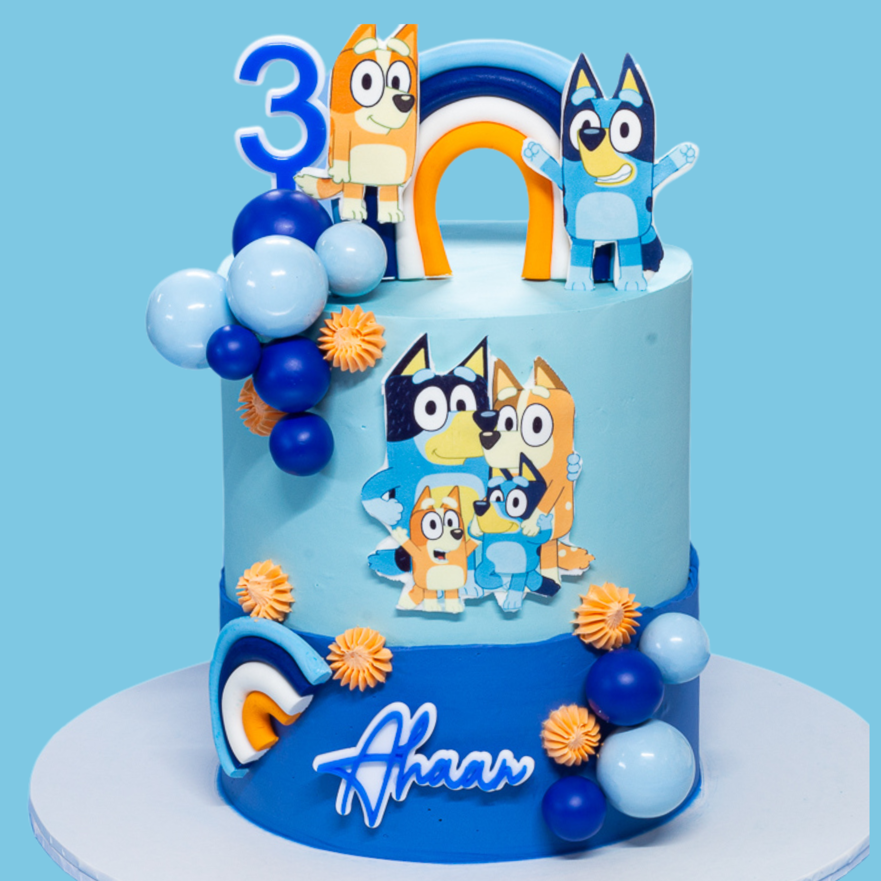 Bluey Theme Cake