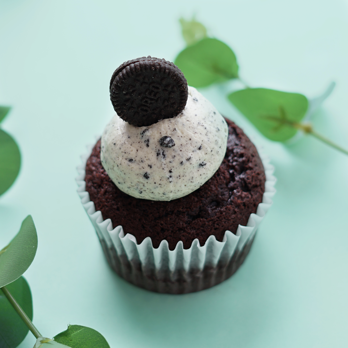 Cookies and Cream Cupcake.