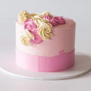 two tone pink cake