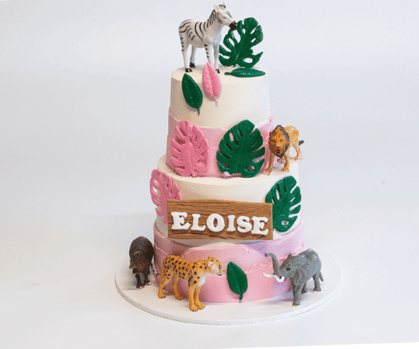 Zoo theme cake